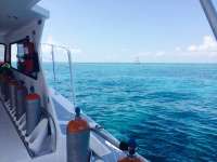 Great day of scuba diving in Key Largo with Rainbow Reef on eagle ray alley tropical odyssey 2014 03 20 r209 3