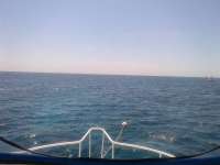 Great day of scuba diving in Key Largo with Rainbow Reef on molasses reef tropical adventure 2014 03 23 r218 1