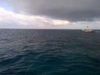 Great day of scuba diving in Key Largo with Rainbow Reef on molasses reef tropical voyager 2014 03 20 r206 1