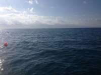 Great day of scuba diving in Key Largo with Rainbow Reef on north star tropical explorer 2014 03 19 r201 1