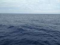 Great day of scuba diving in Key Largo with Rainbow Reef on spiegel grove tropical voyager 2014 03 06 r184 1