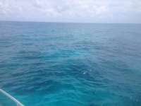 Great day of scuba diving in Key Largo with Rainbow Reef on conch pillars tropical odyssey 2014 05 31 r329 2