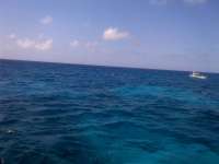 Great day of scuba diving in Key Largo with Rainbow Reef on molasses reef tropical voyager 2014 05 26 r314 1