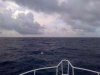 Great day of scuba diving in Key Largo with Rainbow Reef on spiegel grove tropical adventure 2014 05 15 r292 1