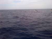 Great day of scuba diving in Key Largo with Rainbow Reef on spiegel grove tropical voyager 2014 05 03 r278 1