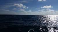 Great day of scuba diving in Key Largo with Rainbow Reef on benwood wreck tropical adventure 2014 11 16 r976 1