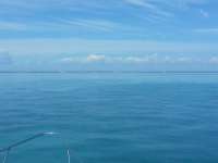 Great day of scuba diving in Key Largo with Rainbow Reef on drift molasses tropical voyager 2014 11 08 r950 1