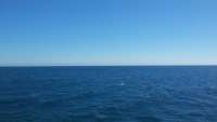 Great day of scuba diving in Key Largo with Rainbow Reef on french twist tropical odyssey 2014 11 02 r938 1