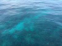 Great day of scuba diving in Key Largo with Rainbow Reef on hole in the wall tropical odyssey 2014 11 08 r949 2