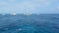 Great day of scuba diving in Key Largo with Rainbow Reef on molasses reef tropical adventure 2014 11 24 r992 1