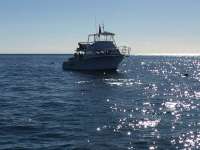 Great day of scuba diving in Key Largo with Rainbow Reef on north star tropical adventure 2014 11 01 r937 2