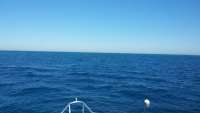 Great day of scuba diving in Key Largo with Rainbow Reef on permit ledges tropical odyssey 2014 11 12 r964 1