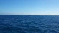 Great day of scuba diving in Key Largo with Rainbow Reef on spiegel grove tropical adventure 2014 11 28 r1000 1