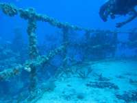 Great day of scuba diving in Key Largo with Rainbow Reef on spiegel grove tropical odyssey 2014 11 11 r956 1