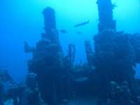 Great day of scuba diving in Key Largo with Rainbow Reef on spiegel grove tropical odyssey 2014 11 11 r956 2