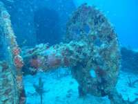 Great day of scuba diving in Key Largo with Rainbow Reef on spiegel grove tropical odyssey 2014 11 15 r973 2