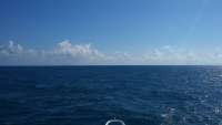 Great day of scuba diving in Key Largo with Rainbow Reef on benwood wreck tropical adventure 2014 10 12 r874 1