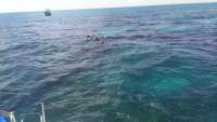 Great day of scuba diving in Key Largo with Rainbow Reef on christ statue tropical odyssey 2014 10 11 r869 1