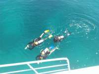 Great day of scuba diving in Key Largo with Rainbow Reef on christ statue tropical odyssey 2014 10 30 r932 1