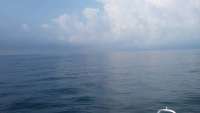 Great day of scuba diving in Key Largo with Rainbow Reef on eagle ray alley tropical adventure 2014 10 02 r840 1