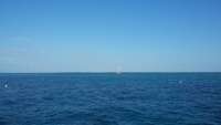 Great day of scuba diving in Key Largo with Rainbow Reef on molasses reef tropical adventure 2014 10 30 r931 1