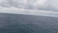 Great day of scuba diving in Key Largo with Rainbow Reef on molasses reef tropical odyssey 2014 10 23 r912 1