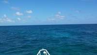 Great day of scuba diving in Key Largo with Rainbow Reef on north dry rocks tropical adventure 2014 10 19 r902 1
