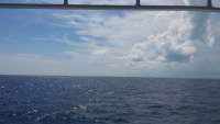 Great day of scuba diving in Key Largo with Rainbow Reef on pillar coral tropical adventure 2014 10 11 r867 1