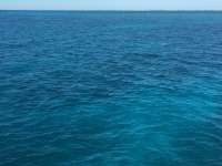 Great day of scuba diving in Key Largo with Rainbow Reef on snapper ledge tropical odyssey 2014 10 17 r890 2