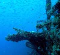Great day of scuba diving in Key Largo with Rainbow Reef on spiegel grove tropical odyssey 2014 10 02 r841 1