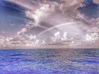 Great day of scuba diving in Key Largo with Rainbow Reef on uscgc bibb tropical adventure 2014 10 15 r884 1