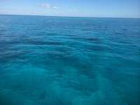 Great day of scuba diving in Key Largo with Rainbow Reef on winch hole tropical odyssey 2014 10 18 r893 3