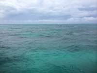 Great day of scuba diving in Key Largo with Rainbow Reef on christ statue tropical adventure 2014 09 25 r818 1