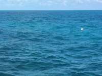 Great day of scuba diving in Key Largo with Rainbow Reef on christ statue tropical odyssey 2014 09 27 r825 1