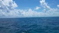Great day of scuba diving in Key Largo with Rainbow Reef on city of washington tropical odyssey 2014 09 02 r737 1