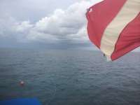 Great day of scuba diving in Key Largo with Rainbow Reef on french reef tropical odyssey 2014 09 19 r793 2
