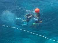 Great day of scuba diving in Key Largo with Rainbow Reef on molasses reef tropical odyssey 2014 09 11 r769 2