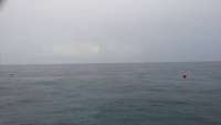 Great day of scuba diving in Key Largo with Rainbow Reef on north star tropical adventure 2014 09 22 r809 1