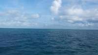 Great day of scuba diving in Key Largo with Rainbow Reef on north star tropical odyssey 2014 09 25 r817 1