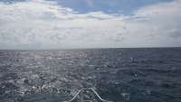 Great day of scuba diving in Key Largo with Rainbow Reef on north star tropical odyssey 2014 09 26 r822 1