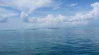 Great day of scuba diving in Key Largo with Rainbow Reef on pickle barrel wreck tropical odyssey 2014 09 17 r788 1