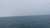 Great day of scuba diving in Key Largo with Rainbow Reef on snapper ledge tropical adventure 2014 09 10 r761 1