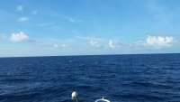 Great day of scuba diving in Key Largo with Rainbow Reef on spiegel grove tropical adventure 2014 09 30 r834 1