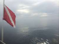 Great day of scuba diving in Key Largo with Rainbow Reef on spiegel grove tropical odyssey 2014 09 18 r790 2