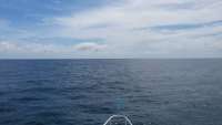 Great day of scuba diving in Key Largo with Rainbow Reef on winch hole tropical odyssey 2014 09 24 r814 1