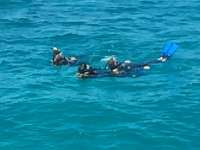 Great day of scuba diving in Key Largo with Rainbow Reef on conch pillars tropical odyssey 2015 04 04 r1362 1