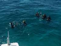 Great day of scuba diving in Key Largo with Rainbow Reef on conch pillars tropical odyssey 2015 04 04 r1362 2