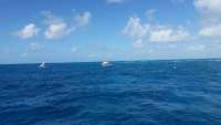 Great day of scuba diving in Key Largo with Rainbow Reef on drift french tropical adventure 2015 04 07 r1370 1