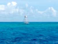 Great day of scuba diving in Key Largo with Rainbow Reef on eagle ray alley tropical odyssey 2015 04 06 r1369 1