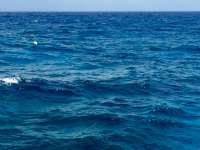 Great day of scuba diving in Key Largo with Rainbow Reef on eagle ray alley tropical odyssey 2015 04 07 r1372 2